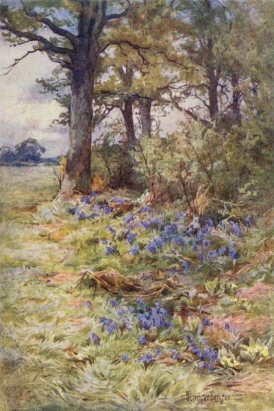 أطراف الأخشاب المعطرة بواسطة إرنست بينجر أو بيرنجر